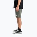 Spodenki męskie Alpha Industries Basic Small Logo II dark olive 5