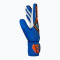 Rękawice bramkarskie dziecięce Reusch Attrakt Starter Solid Junior electric blue/shocking orange 4
