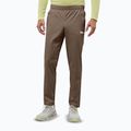 Spodnie trekkingowe męskie Jack Wolfskin Prelight Pro cold coffee