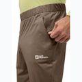 Spodnie trekkingowe męskie Jack Wolfskin Prelight Pro cold coffee 4