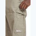 Spodnie trekkingowe męskie Jack Wolfskin Barrier stone 5