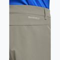 Spodenki trekkingowe męskie Jack Wolfskin Pico Trail stone 5
