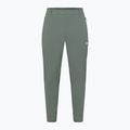 Spodnie trekkingowe męskie Jack Wolfskin Hikeout slate green 7