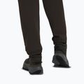 Buty turystyczne męskie Jack Wolfskin Wild Hike Texapore Mid obsidian moss 10