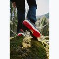 Buty turystyczne męskie Jack Wolfskin Wild Hike Texapore Low obsidian moss 13
