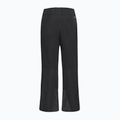 Spodnie narciarskie męskie Jack Wolfskin Flowline 2L Ins black 9