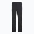 Spodnie trekkingowe męskie Jack Wolfskin Trek Terrain black 8