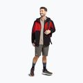 Buty turystyczne męskie Jack Wolfskin Wild Hike Low obsidian moss 9