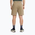 Spodenki trekkingowe męskie Jack Wolfskin Pico hazel wood 3