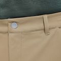 Spodenki trekkingowe męskie Jack Wolfskin Pico hazel wood 5