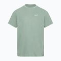 Koszulka męska Jack Wolfskin Essential green zinnia 5