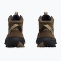 Buty turystyczne damskie Jack Wolfskin Wild Hike Texapore Mid fawn 10