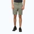 Spodenki trekkingowe męskie Jack Wolfskin Activate Tour misty green