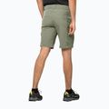 Spodenki trekkingowe męskie Jack Wolfskin Activate Tour misty green 2
