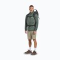 Buty trekkingowe męskie Jack Wolfskin Terraquest Texapore Low gecko bear 9