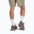 Buty trekkingowe męskie Jack Wolfskin Terraquest Texapore Low gecko bear 10