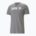 Koszulka męska PUMA Performance Training Graphic medium gray heather/q2 print