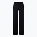 Spodnie narciarskie męskie BOGNER FIRE+ICE Nic-T black 6