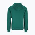 Bluza męska FILA Lutheran Hoody aventurine 5