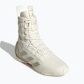 Buty bokserskie adidas Speedex 23 off white/beige/warm sandstone 8