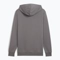 Bluza męska PUMA ESS Small No. 1 Logo Hoodie TR cast iron 2