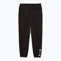 Spodnie męskie PUMA x HYROX Fleece black 5