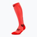 Skarpety kompresyjne męskie CEP Run Tall 5.0 neon coral 2