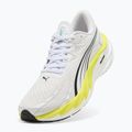 Buty do biegania męskie PUMA Velocity Nitro 4 white 10