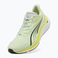 Buty do biegania męskie PUMA Electrify Nitro 4 green 10