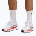 Buty do biegania męskie Puma Velocity Nitro 5 puma white/ultra red 14
