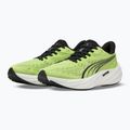 Buty do biegania męskie Puma Velocity Nitro 5 sunny lime/moody gray 11