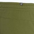 Spodnie męskie PUMA Essentials+ 2 Col Logo TR olive green 4
