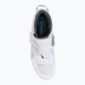 Buty szosowe męskie Shimano SH-TR501 white 6