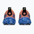 Buty do biegania męskie ASICS Noosa Tri 16 bright sunstone/soft sky 13