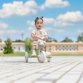 Rowerek biegowy trójkołowy Globber Learning Trike 2w1 Plus Ecologic pistachio 13