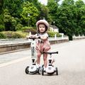 Hulajnoga trójkołowa dziecięca Scoot & Ride Highwaykick 1 ash 10