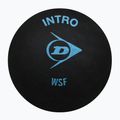 Piłka do squasha Dunlop Intro blue dot 700105