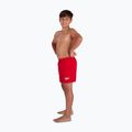 Szorty kąpielowe dziecięce Speedo Essential 13" fed red 2