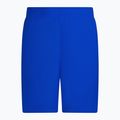Szorty kąpielowe męskie Nike Essential 5" Volley game royal 2