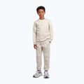 Bluza dziecięca New Balance Brush Back Small Logo Crew timberwolf 2