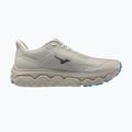 Buty do biegania męskie Mizuno Wave Horizon 9 foggy dew/dark slate/blue jewel 9