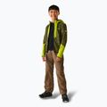 Bluza polarowa dziecięca REGATTA Dissolver X nephrite green/grenoble green/black 2
