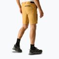 Spodenki trekkingowe męskie REGATTA Anti Insect Travel Light wood brown 3