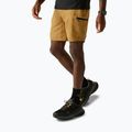 Spodenki trekkingowe męskie REGATTA Leesville III wood brown
