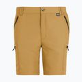 Spodenki trekkingowe męskie REGATTA Leesville III wood brown 6