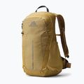 Plecak turystyczny Gregory Arrio 20 RC amber haze