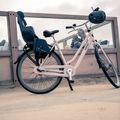 Fotelik rowerowy bobike Go Maxi macaron grey 2