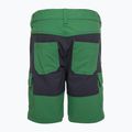 Spodenki trekkingowe dziecięce LEGO Lwpayton 300 green 2