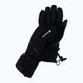 Rękawice narciarskie męskie Viking Hudson GTX Ski black 2