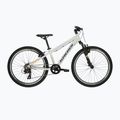 Rower dziecięcy KROSS Dust Jr 1.0 szary/czarny/połysk